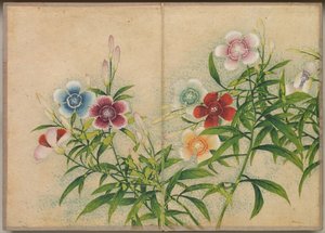 Skrivbordsalbum: Flower and Bird Paintings Pinks, 1700-talet.