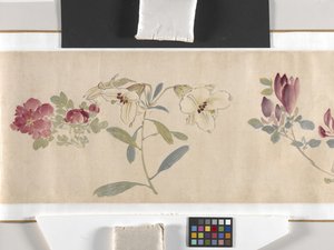 Färgade blommor av Zhimian Zhou