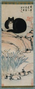 Svart katt och narcissus, 1800-talet. av Zhu Ling