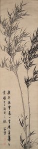 Bambu av Zhu Lu