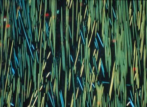 KOMPOSIT, LM PMC kolfiber i en polymermatris av Frederick (attr. to) Barnard