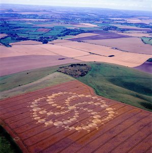 Grodcirkel i vetefält, Milk Hill, Alton Priors, Vale of Pewsey, Wiltshire