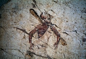 Fresco, Kos, Grekland (foto)