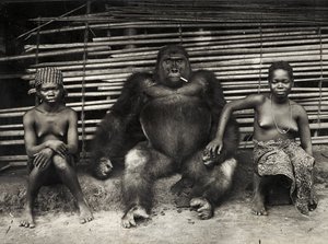 Gorilla (silvertryck av gelatin) av Hippolyte Lalaise Devéria