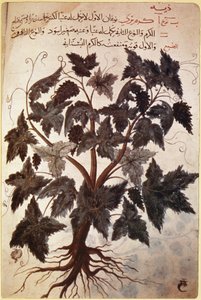Herbals Vine av Ferdinand Georg Waldmuller