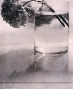 Hortensia, c 1907 av John Pardon