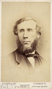 John Tyndall, irländsk fysiker, ca 1875 av Frederick (attr. to) Barnard
