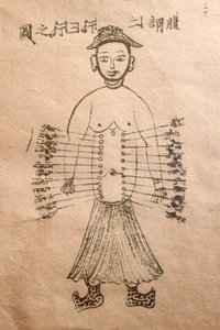 Museum of Traditional Vietnamese Medicine, Kanalerna och kärlen, Akupunkturboken, Ho Chi Minh City, Vietnam