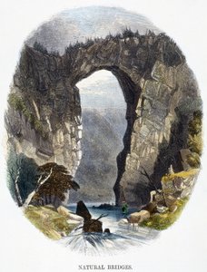 Naturliga broar