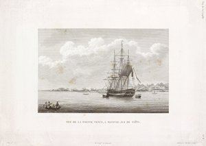"Coquille" på Pointe Venus, ön Tahiti av Frederick (attr. to) Barnard