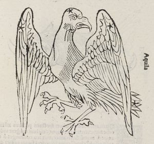 Stjärnbilden Aquila av John Pardon