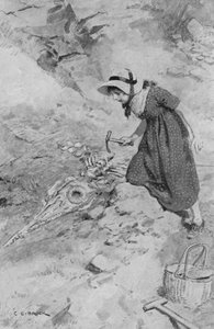 Vid Lyme Regis kommer Mary Anning, 12 år, på den första Ichthyosaurus som hittades i England