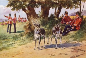Pet Antilopes av Royal Warwickshire Regiment