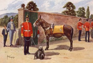 The Pet Mule and Monkey från Middlesex Regiment