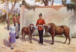 Gnuer (eller White-tailed Gnu), husdjur i södra Wales Borderers