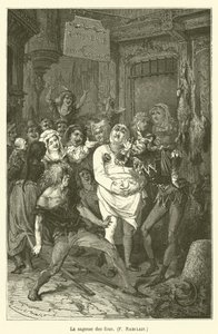 Dårarnas visdom, F Rabelais