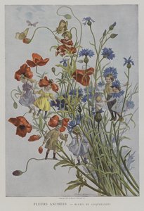 Fleurs Animees. Bleuets et Coquelicots. (Animerade blommor: blåklint och vallmo)