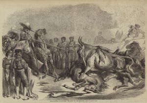 Tjurfäktning vid Bayonne, slaget från Picadore av Gustave after Dore