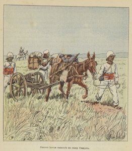 Hovas kanoner fördes tillbaka till det franska lägret av after Louis Charles Bombled