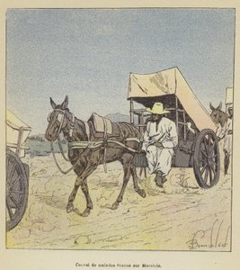 Konvoj av sjuka människor evakuerades till Marololo av after Louis Charles Bombled