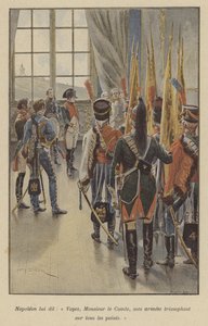 Napoleon sade: Se, greve, mina arméer segrar överallt.