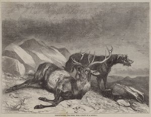 Deer-Stalking, the Dying Stag  av after Richard Ansdell
