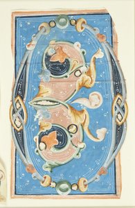 Ornamenterad initial O