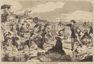 Augusti på landet - Havsstranden