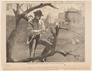 Vårgårdsarbete – ympning av Winslow Homer