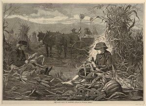 The Last Days of Harvest, från Harper