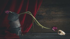Mörk blommig dödskalle av alan shapiro