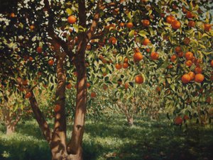 Silence under the oranges II, 2012, olja på duk