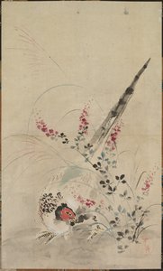 Fasan och gräs av attributed to Ogata Kōrin