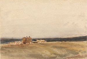 En hövagn i ett öppet landskap