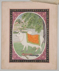 Oxen, från en Mandi Astrology Series av attributed to Sanju