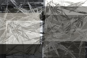 Abstrakt bambustruktur av cartissi