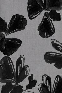 Abstrakta svarta blommor av cartissi