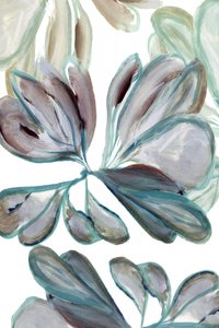 Sammanfattning: Botaniskt flöde av cartissi