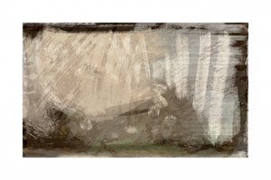 Sammanfattning: Skogsljus av cartissi
