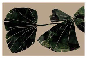 Abstrakta gröna blad av cartissi