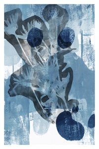 Sammanfattning Indigo Botanicals av cartissi