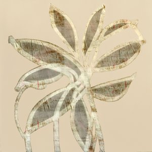 Abstrakta texturerade blad av cartissi