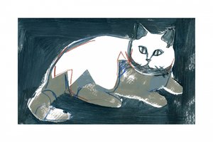 Konstnärlig vit katt av cartissi