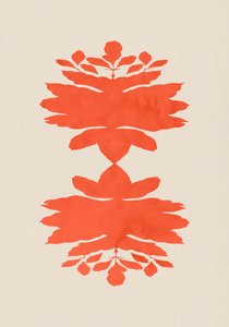 Korallens botaniska symmetri av cartissi