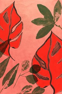 Korallens tropiska blad av cartissi