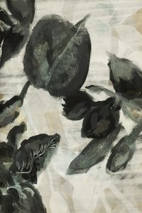 Mörka botaniska blad av cartissi