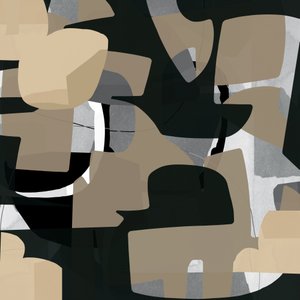 Mörka organiska former av cartissi
