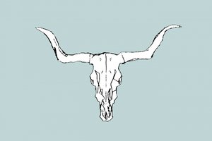 Desert Bull Skull av cartissi