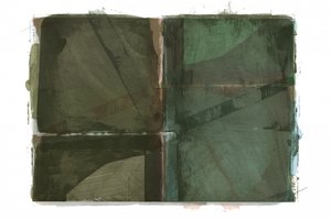 Jordnära gröna lager av cartissi