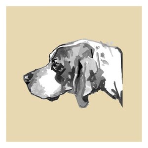 Elegant hundprofil av cartissi